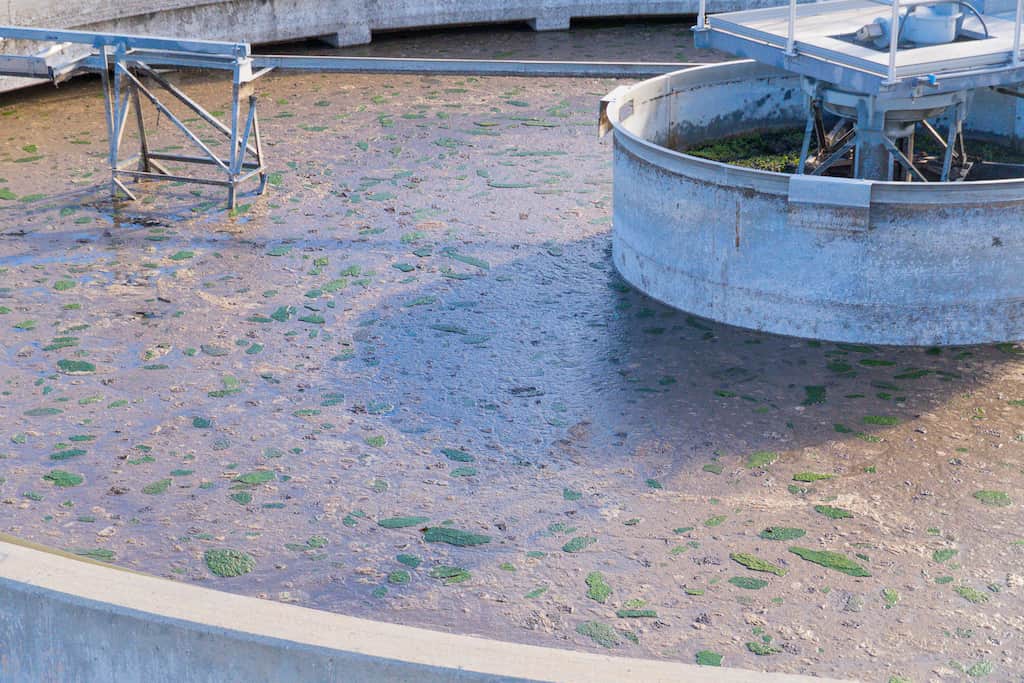 Primary clarifier cleanout at a Houston wastewater treatment plant